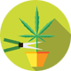Harvest Our Cannabis